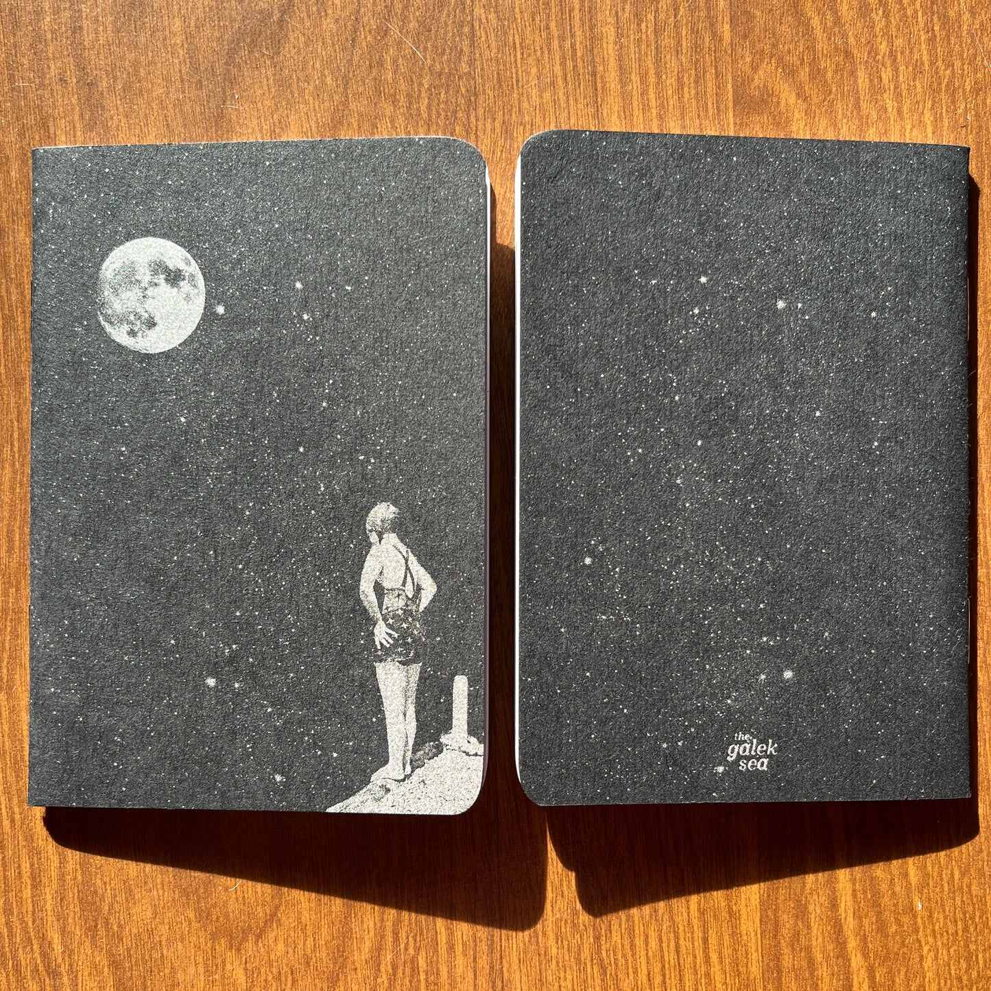 Pier Into Space Pocket Journals